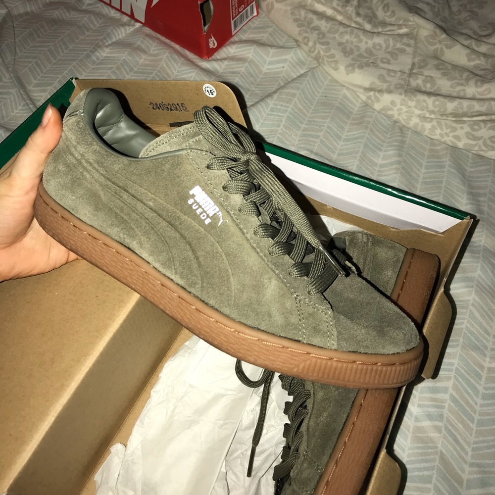 Pumas